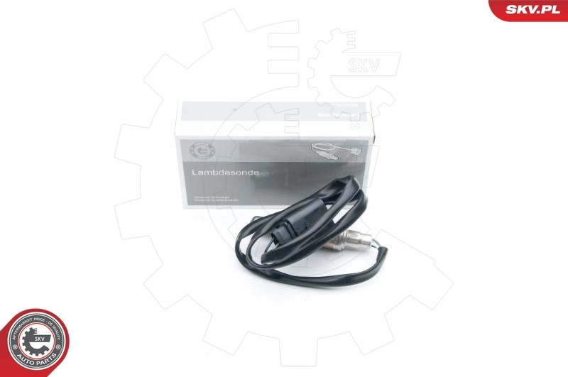 Oxygen Sensor